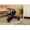 Велосипед 3-колісний Caretero (Toyz) Loco purple, арт. TOYZ-0352