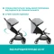 Прогулянкова коляска Chicco We, кол.19, код товару: 79885.19