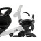 Дитячий триколісний велосипед Caretero (Toyz) Dash Monstera, код товару: TOYZ-0355