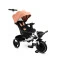 Велосипед триколісний Caretero (Toyz) Dash Pink, код товару: TOYZ-0357