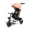 Велосипед триколісний Caretero (Toyz) Dash Pink, код товару: TOYZ-0357