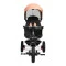 Велосипед триколісний Caretero (Toyz) Dash Pink, код товару: TOYZ-0357