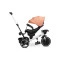 Велосипед триколісний Caretero (Toyz) Dash Pink, код товару: TOYZ-0357