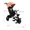 Велосипед триколісний Caretero (Toyz) Dash Pink, код товару: TOYZ-0357