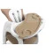 Стульчик трансформер для кормления Caretero Homee Brown,  код товара: TERO-7574