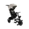 Дитячий триколісний велосипед Caretero (Toyz) Dash grey, арт. TOYZ-03580