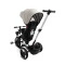 Дитячий триколісний велосипед Caretero (Toyz) Dash grey, арт. TOYZ-03580