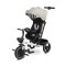 Дитячий триколісний велосипед Caretero (Toyz) Dash grey, арт. TOYZ-03580