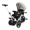 Дитячий триколісний велосипед Caretero (Toyz) Dash grey, арт. TOYZ-03580