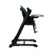 Стульчик для кормления + качеля 2 в 1 Caretero Indigo black green, арт. TERO-7651