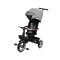 Велосипед 3-колісний Caretero (Toyz) saber grey, арт. TOYZ-0365