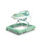 Ходунки 2 в 1 Caretero Toyz Timon mint, арт. TOYZ-20766