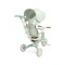 Дитячий трьохколісний велосипед Caretero (Toyz) faro green, арт. TOYZ-0360