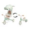 Дитячий трьохколісний велосипед Caretero (Toyz) faro green, арт. TOYZ-0360