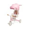 Детский трехколесный велосипед Caretero (Toyz) Faro pink, арт. TOYZ-0362