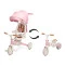 Детский трехколесный велосипед Caretero (Toyz) Faro pink, арт. TOYZ-0362