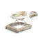 Ходунки 2 в 1 Caretero Toyz Timon beige, арт. TOYZ-20768