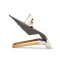 Детское кресло шезлонг Caretero Pine grey, арт. TERO-80611