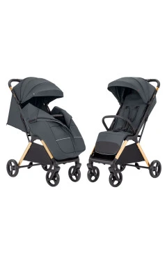 Прогулянкова коляска CARRELLO Cross CRL-5523 eagle grey