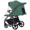 Прогулянкова коляска CARRELLO Bravo CRL-5515 palm green