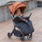 Прогулочная коляска CARRELLO Nova CRL-5521 tangelo orange /1/