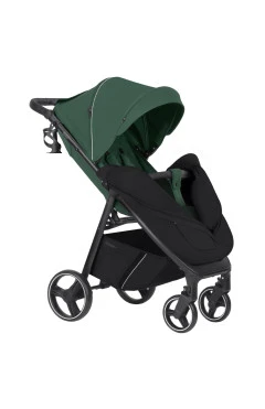 Прогулочная коляска CARRELLO Bravo CRL-8512 BF spring green