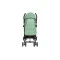 Коляска прогулочная FreeON Simple black - dark green, арт. 48563