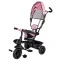 Трехколесный велосипед Free2Move Sport black pink, арт. 44152