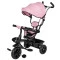 Трехколесный велосипед Free2Move Sport black pink, арт. 44152