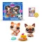 Игровой набор LITTLEST PET SHOP – особые блюда (2 фигурки, аксесс.), арт. 00506