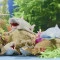 Стретч-игрушка животное LEGEND OF ANIMALS МАКСИ Хранители Океана в дисплейе, арт. 106/CN24