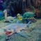 Стретч-игрушка LEGEND OF ANIMALS Морские доисторические хищники в дисплее, арт. 128/CN22