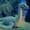 Стретч-игрушка LEGEND OF ANIMALS Морские доисторические хищники в дисплее, арт. 128/CN22