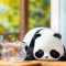 Колекційна фігурка POP TOP 52Toys Panda Roll мяу панди в дисплеї асортимент, арт. 22CB437GG13
