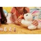 Інтерактивний ігровий набір PETS ALIVE Mama & Baby Surprise S1 Мама кролиця з сюрпризом, арт. 9554