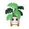 Игровая фигурка FUNKO POP! серии flora - монстера, арт. 88382