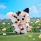 Коллекционная мягкая игрушка POP TOP Cureplaneta Baby Three Котики и Собачки в дисплейе, арт. CRP2601