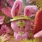 Мягкая игрушка с кольцом POP TOP Rebel Bear Sweet Zoo Зоомалыши в ассортименте, арт. CSRB010