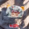 Мягкая игрушка POP TOP JOTOYS Q.Kid Космо-Волны с кольцом в дисплее, арт. JO-2025044
