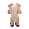 М’яка іграшка POKEMON - рокрафф W20 (20 cm), арт. PKW3663