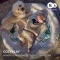 Развивающий коврик Kinderkraft cozyplay, арт. 00-00305298