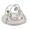 Развивающий коврик Kinderkraft cozyplay, арт. 00-00305298