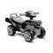 Машинка для катання Caretero (Toyz) Mini Raptor Grey,  код товара: TOYZ-2531