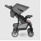 Прогулочная коляска Lionelo EMMA PLUS PINK SCANDI, серый