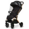 Прогулочная коляска Lionelo CLOE golden moments