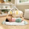 Центр ігровий розвиваючий 6 в 1 "Tummy to Toes™" Ingenuity™, код товару: 16904