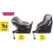 Автокресло Cosatto DEN I-SIZE GROUP 0+1 Iso-fix dawn chorus, 680909