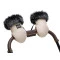 Рукавицы Bair Northmuff desert beige бежевый, арт. 681792