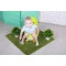 Детский горшок Пингвин с полиуретановым кольцом зеленый - Babyhood, арт. BH-113PG