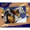 Sequin Art набор для творчества PAINTING BY NUMBERS SENIOR дикие лошади, арт. SA1040